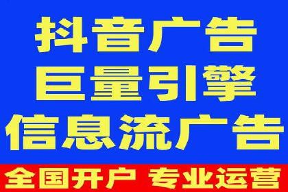 行业领先企业的SEM广告策略与效果分析